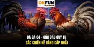 đá gà c4 okfun